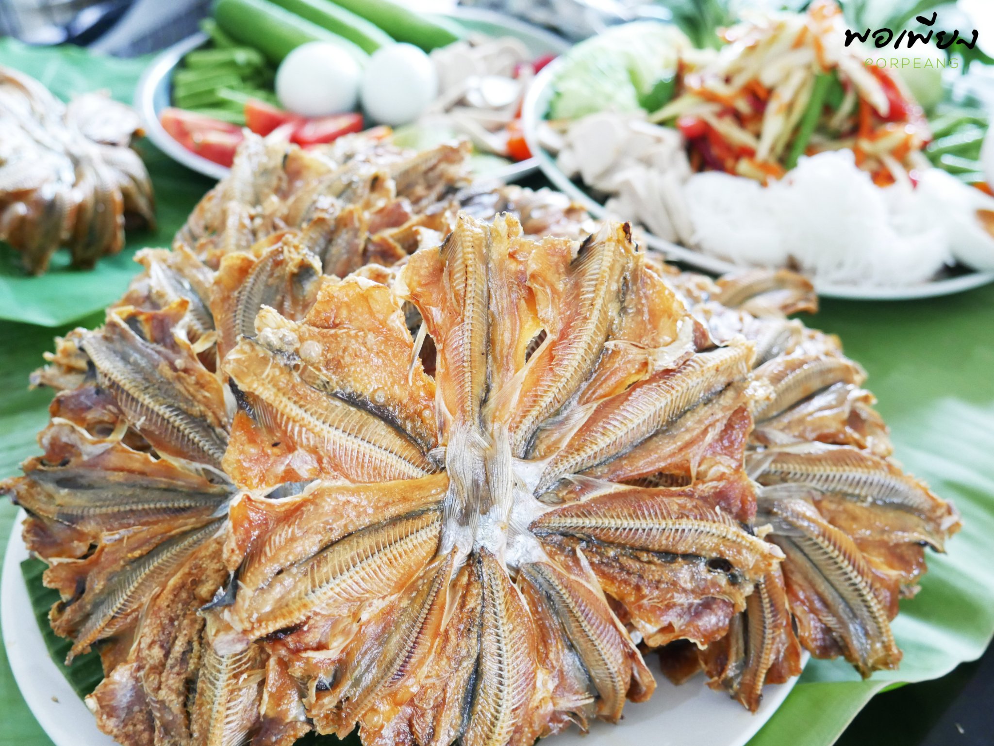 ปลาหัวโม่งตากแห้ง แพค 10วง(ปลีก)