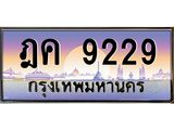อ.ทะเบียนรถ ฎค 9229 เลขประมูล ทะเบียนสวย 9229