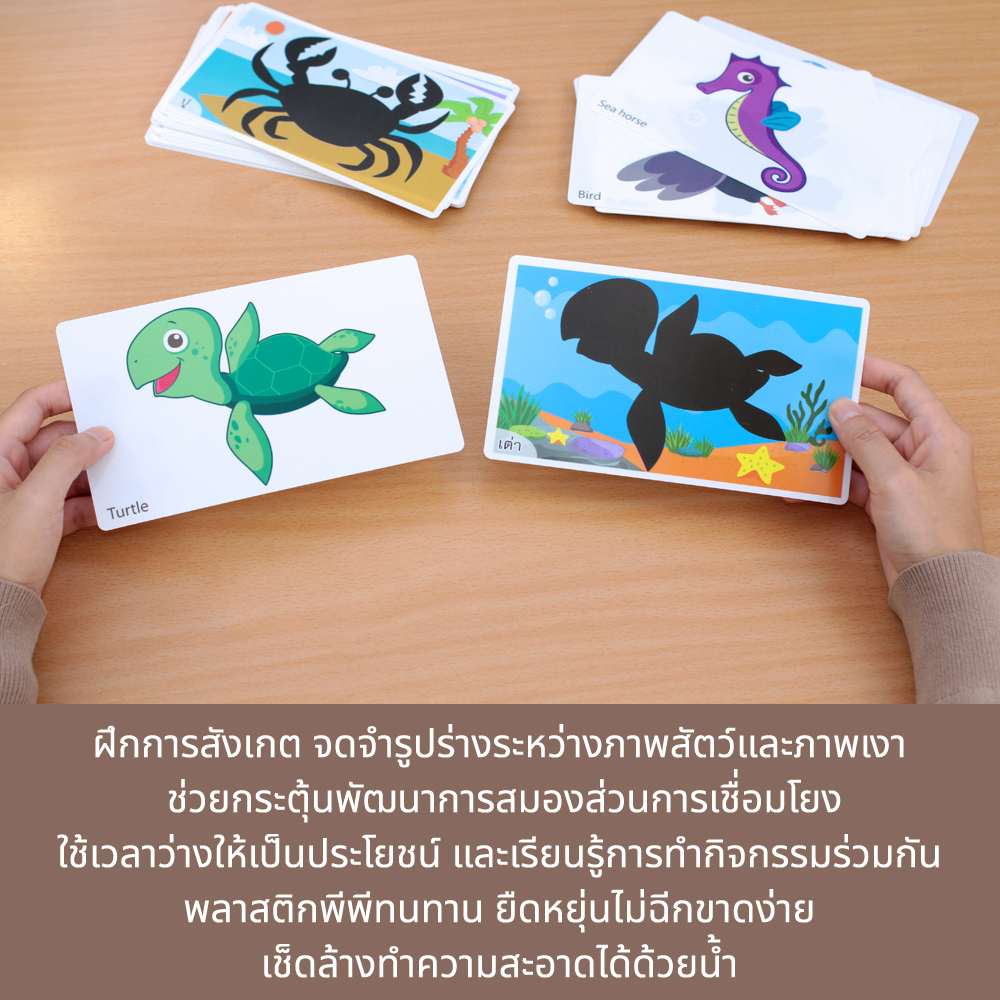 ฝึกการสังเกตเกมจับคู่ บัตรคำศัพท์2ภาษา ไทย-อังกฤษ จับคู่เงา Shadow Matching ET-318