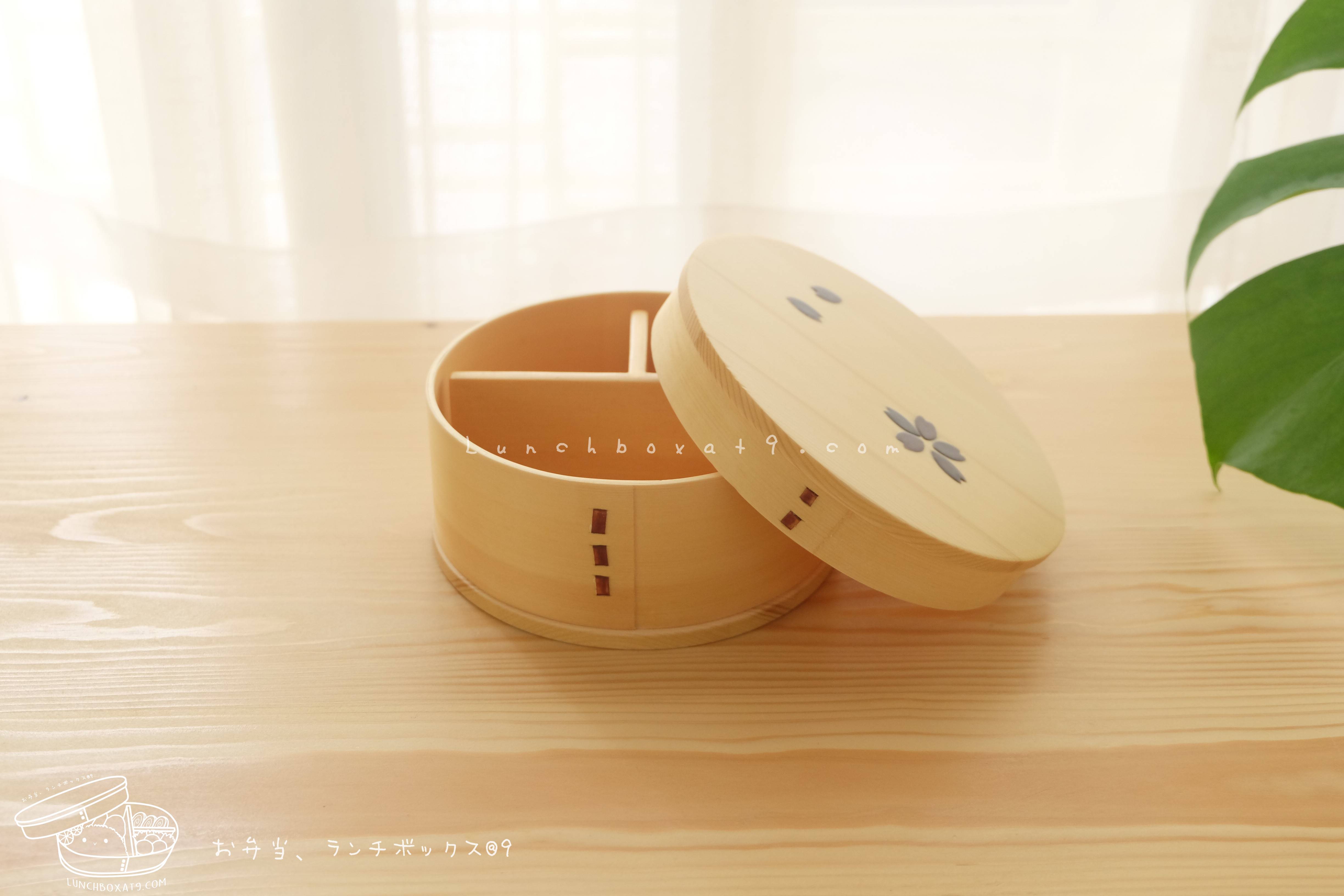 Round Shiraki Bending magewappa Cherry Blossom Pattern Bento Box กล่องข้าวญี่ปุ่นทรงกลม สีไม้ 1 ชั้น ลายดอกซากุระ