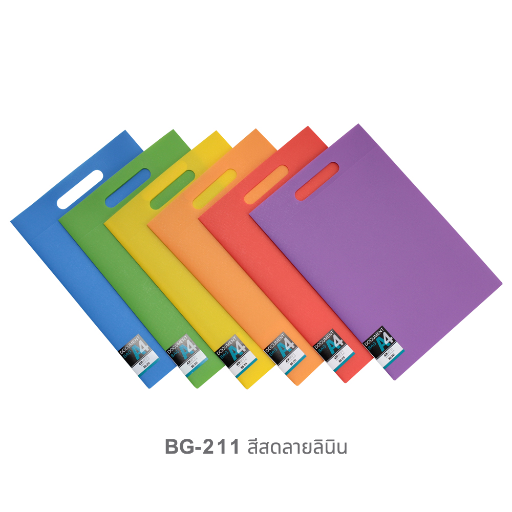 Document Carrying Bag A4