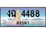 ทะเบียนรถสวย 4488 สงขลา งฉ 4488 หรูหราเหนือระดับ “งานหนัด”