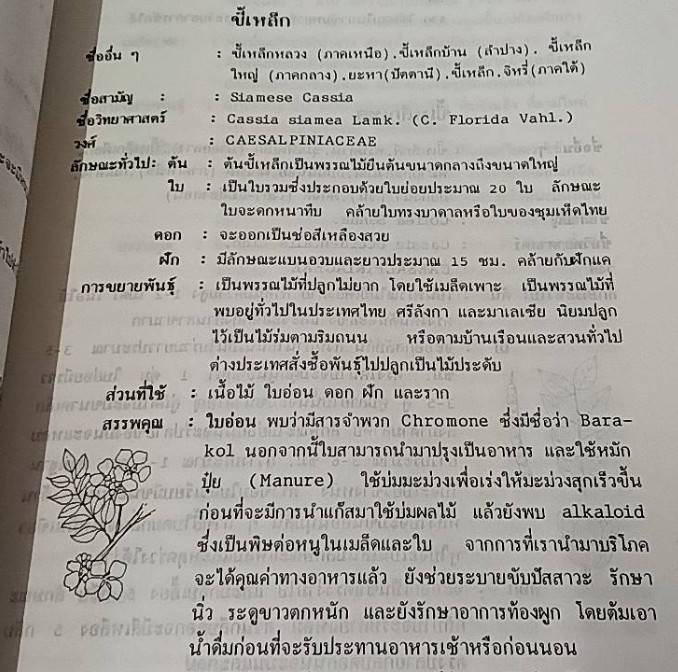 พจนานุกรม สมุนไพรไทย