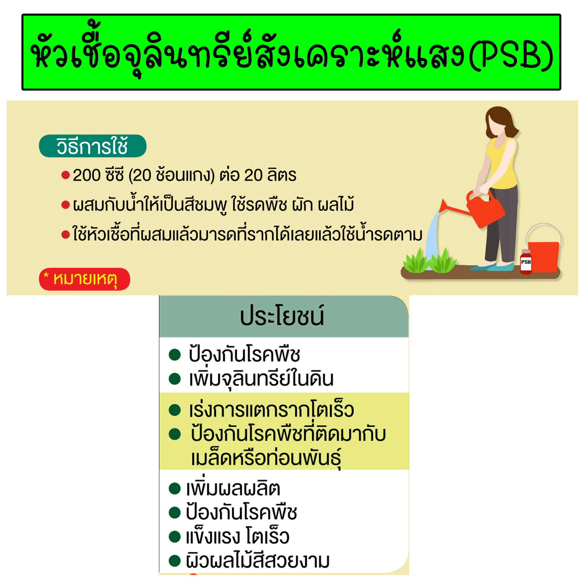 หัวเชื้อจุลินทรีย์สังเคราะห์แสง จุลินทรีย์สังเคราะห์แสง 1 ลิตร (PSB) สูตรเข้มข้น สะอาด เพิ่มธาตุอาหาร