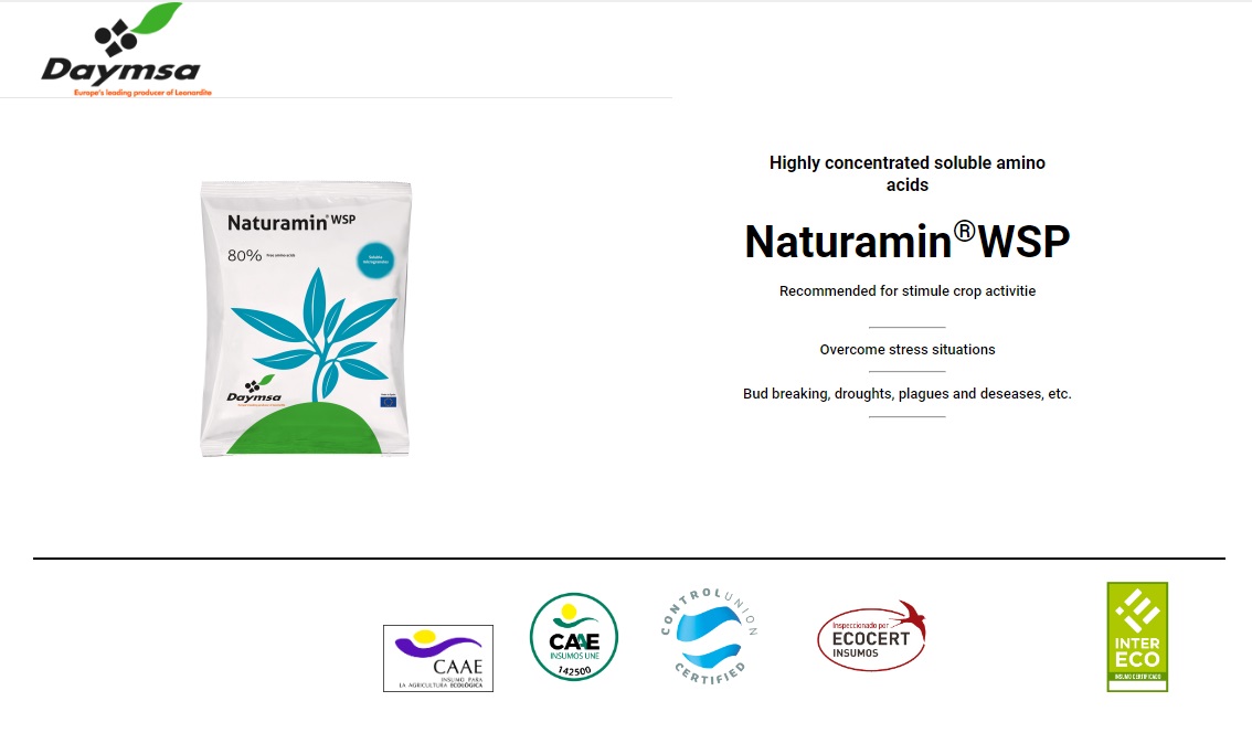 Naturamin WSP ผงกรดอะมิโน Amino Acid Powder 80% Daymsa สเปน บรรจุ 1 กิโลกรัม