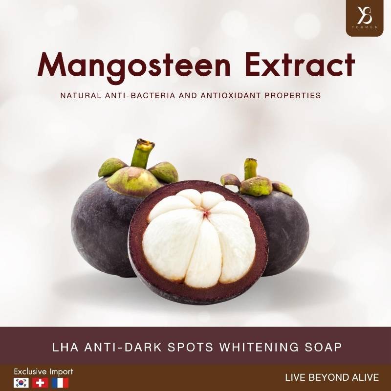 LHA Whitening soap