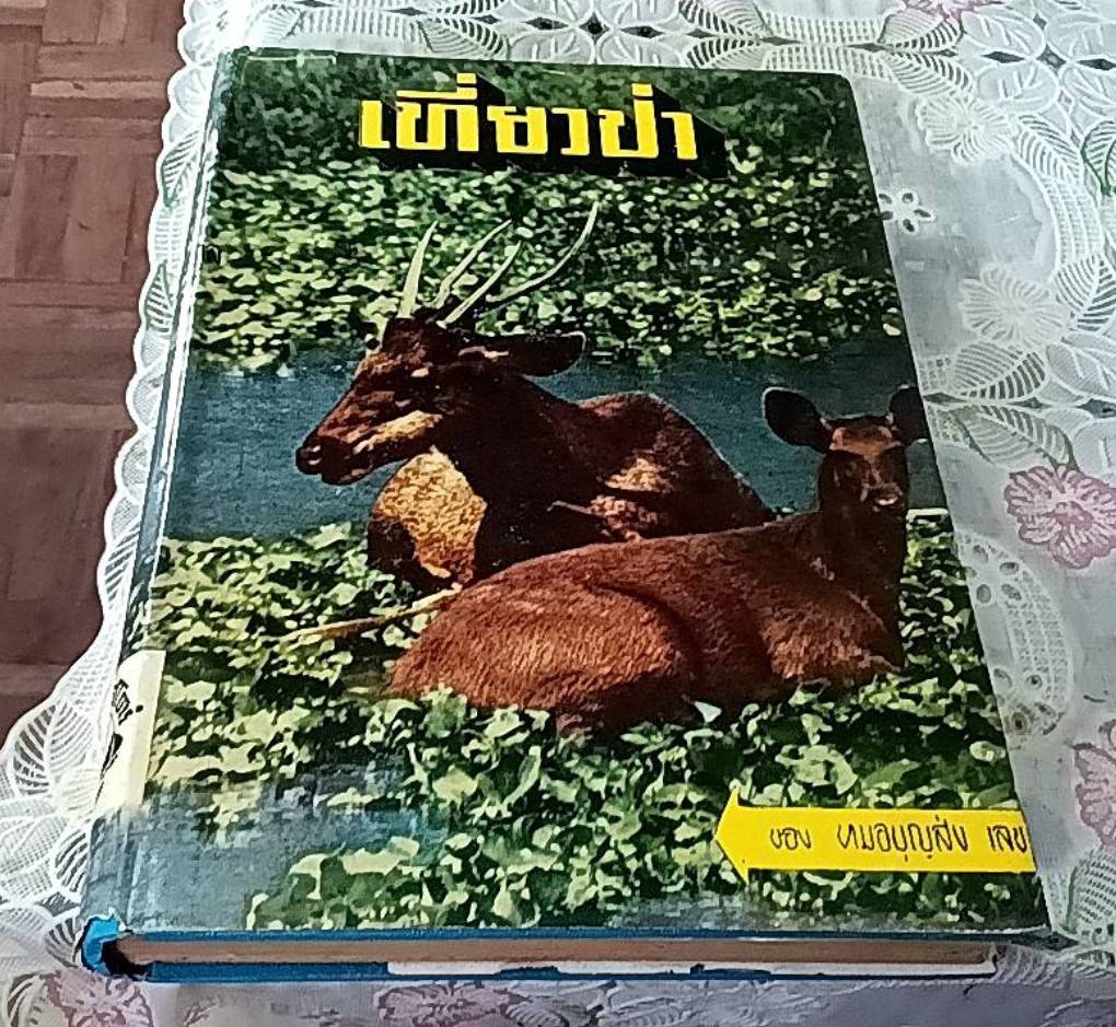 เที่ยวป่า