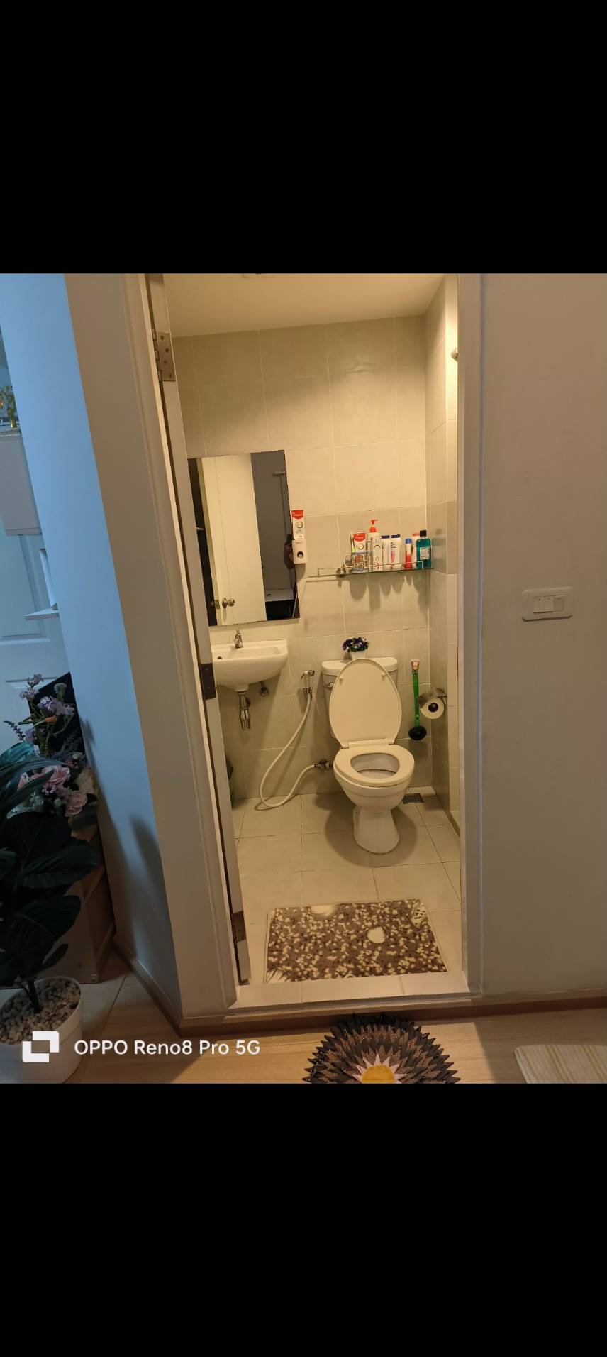 พลัมคอนโด สามัคคี - PLUM CONDO SAMAKKHI (VIP) ห้องจะว่างหลัง 5 ต.ค. 68