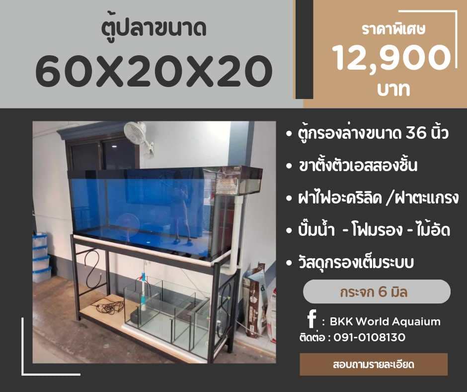 TP Service บริการรับติดตั้งตู้ปลา รับทำบ่ปลาคราฟ ตู้ปลาขนาด 60x20x20