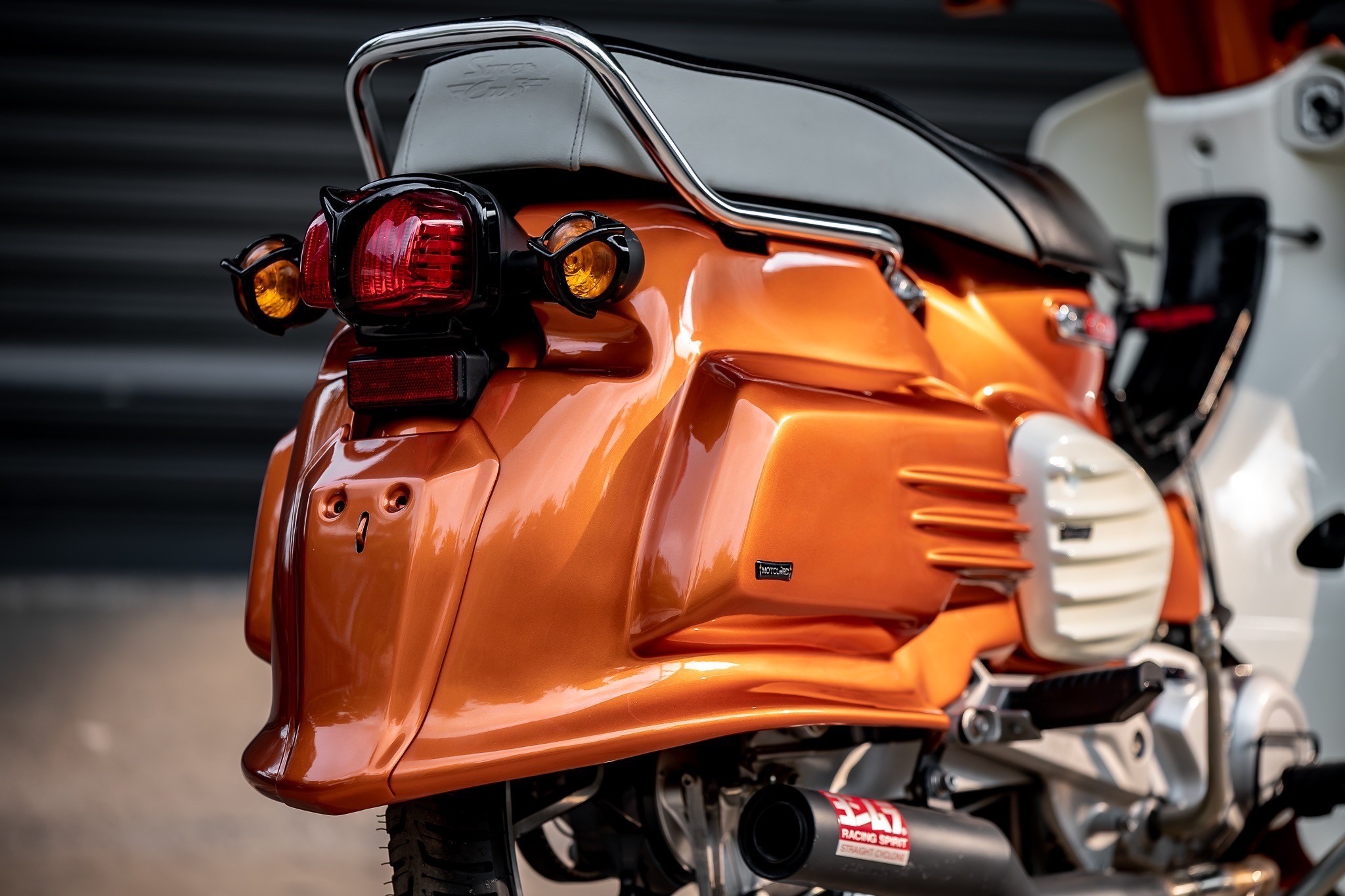 HONDA SuperCUB C125-C110 MotolordD