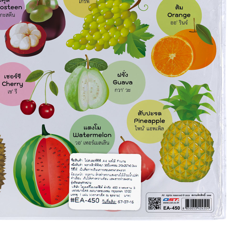 สคบ.โปสเตอร์ความรู้ ชุดคำศัพท์ ผัก ผลไม้ ดอกไม้ ขนาดA4 EA-450 ผลไม้ Fruits