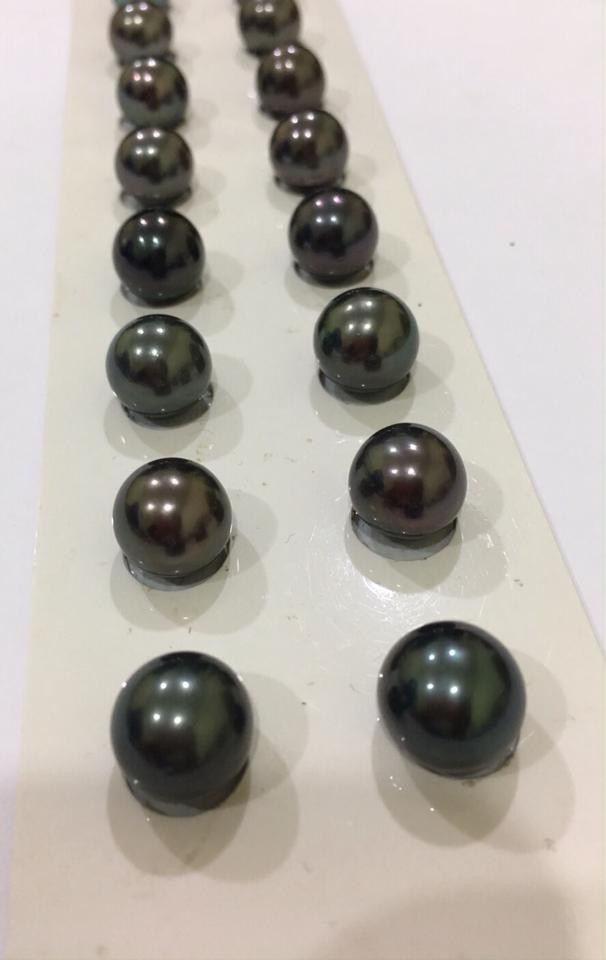 ต่างหูไข่มุก south sea สีดำ ขนาด 11-12 มิล เกรด AA ก้านเงินแท้