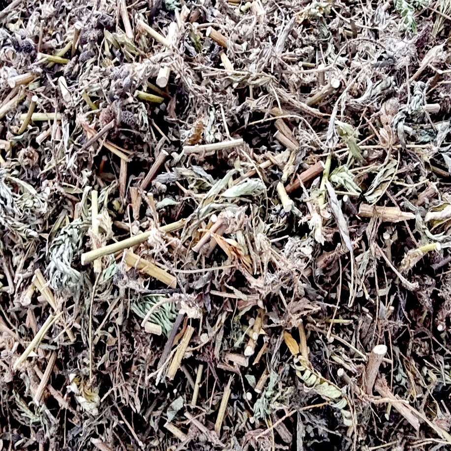 ชาไมยราบอบแห้ง ไมยราพ มัยราบ มัยราพ ไมยราบ หญ้างับ สมุนไพรไมยราบ ขนาด 90 กรัม