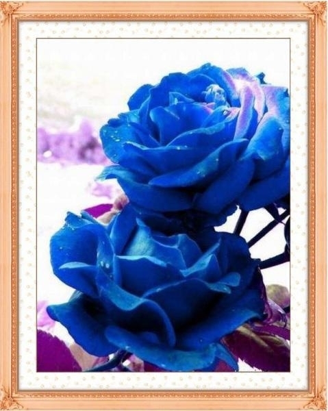 rose-1041 *พร้อมส่ง* ชุดปักครอสติช ลายกุหลาบสีน้ำเงิน (ไม่มีเดินเส้น ผ้า11CTพิมพ์ลาย ปักครั้งละ 3 เส้นเล็ก) ขนาด 66*82 ซม.ผ้าครอสติช 11CTพิมพ์ลายปักบนผ้า+ไหมคอตตอน 34 สี+ผังลาย+เข็ม
