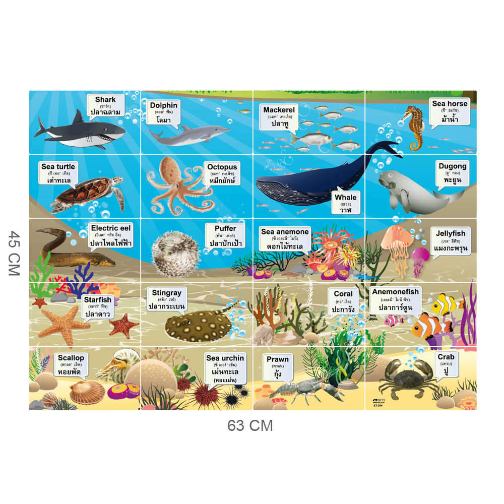 เกมต่อภาพ คำศัพท์2ภาษา ไทย-อังกฤษ ชุดสัตว์น้ำ ET-304