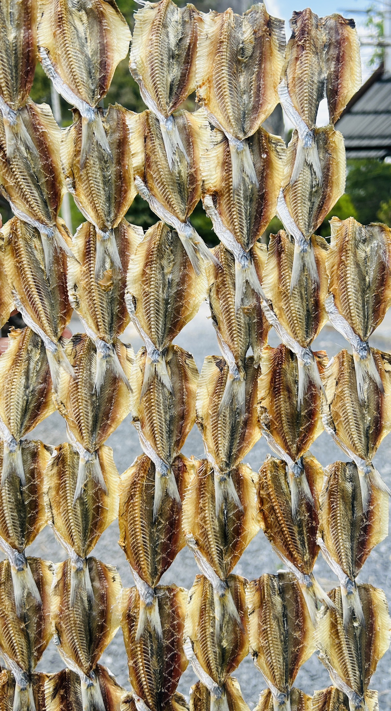 ปลาหลังเขียว แพค 200 กรัม ปลีก-ส่ง