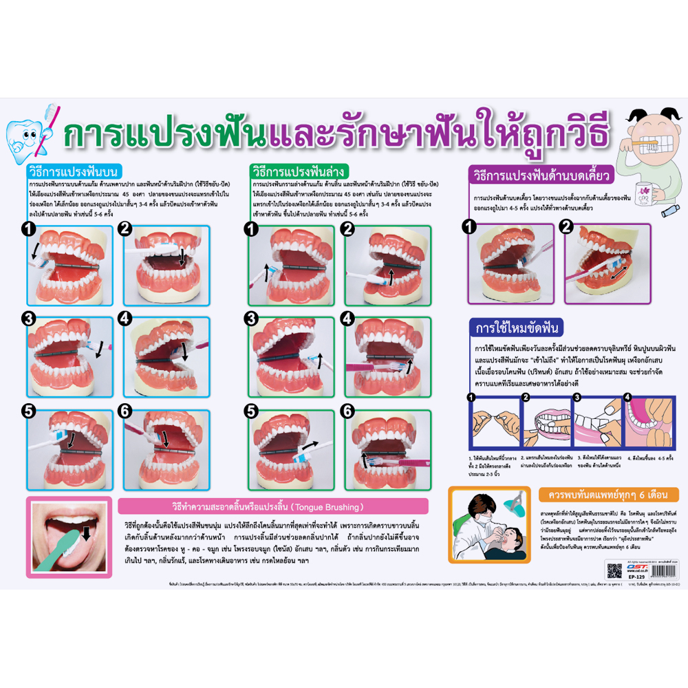 Proper Way of Teeth Brushing Educational Posters No.129