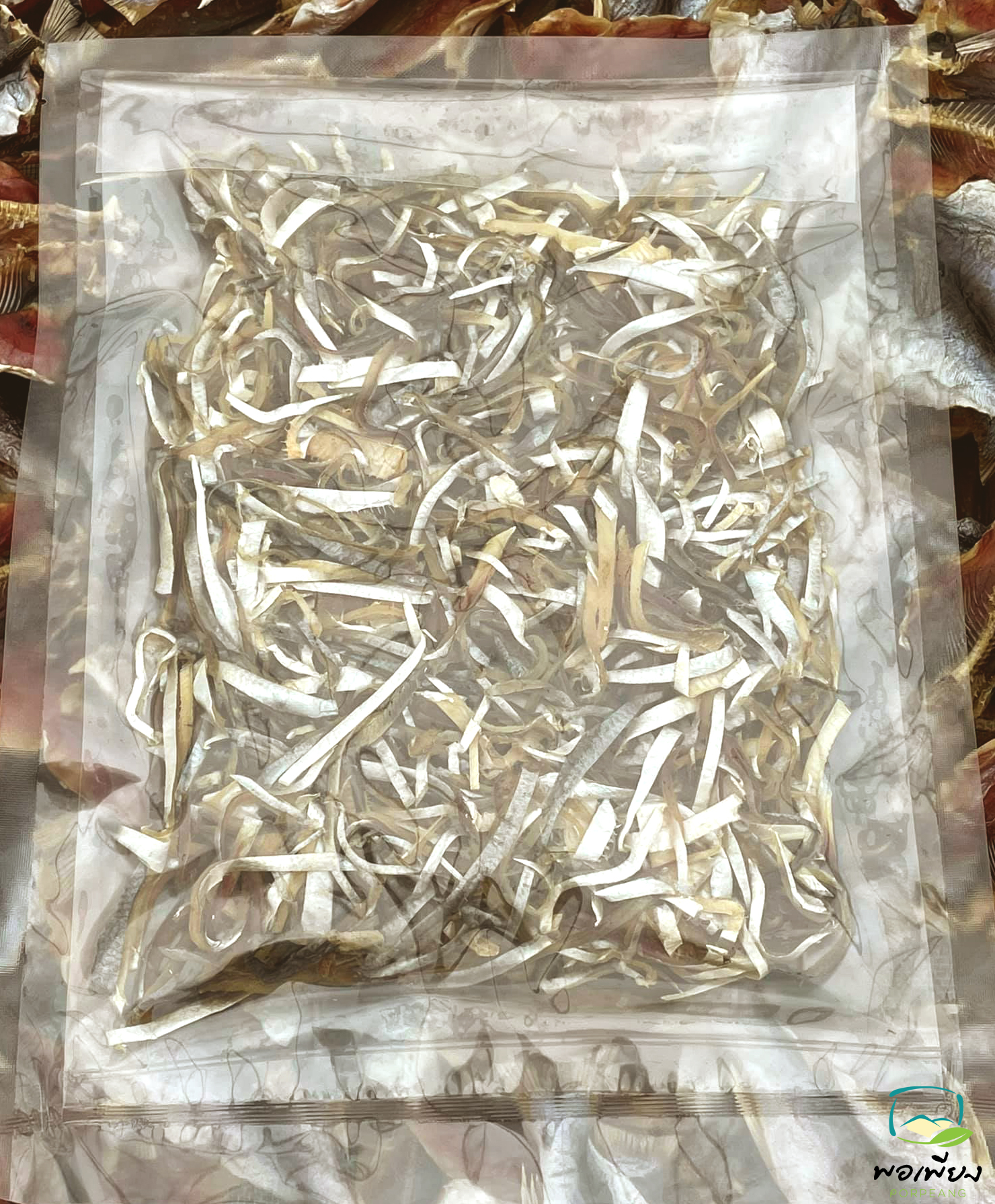 ปลาโคบเส้น ชาวประมง