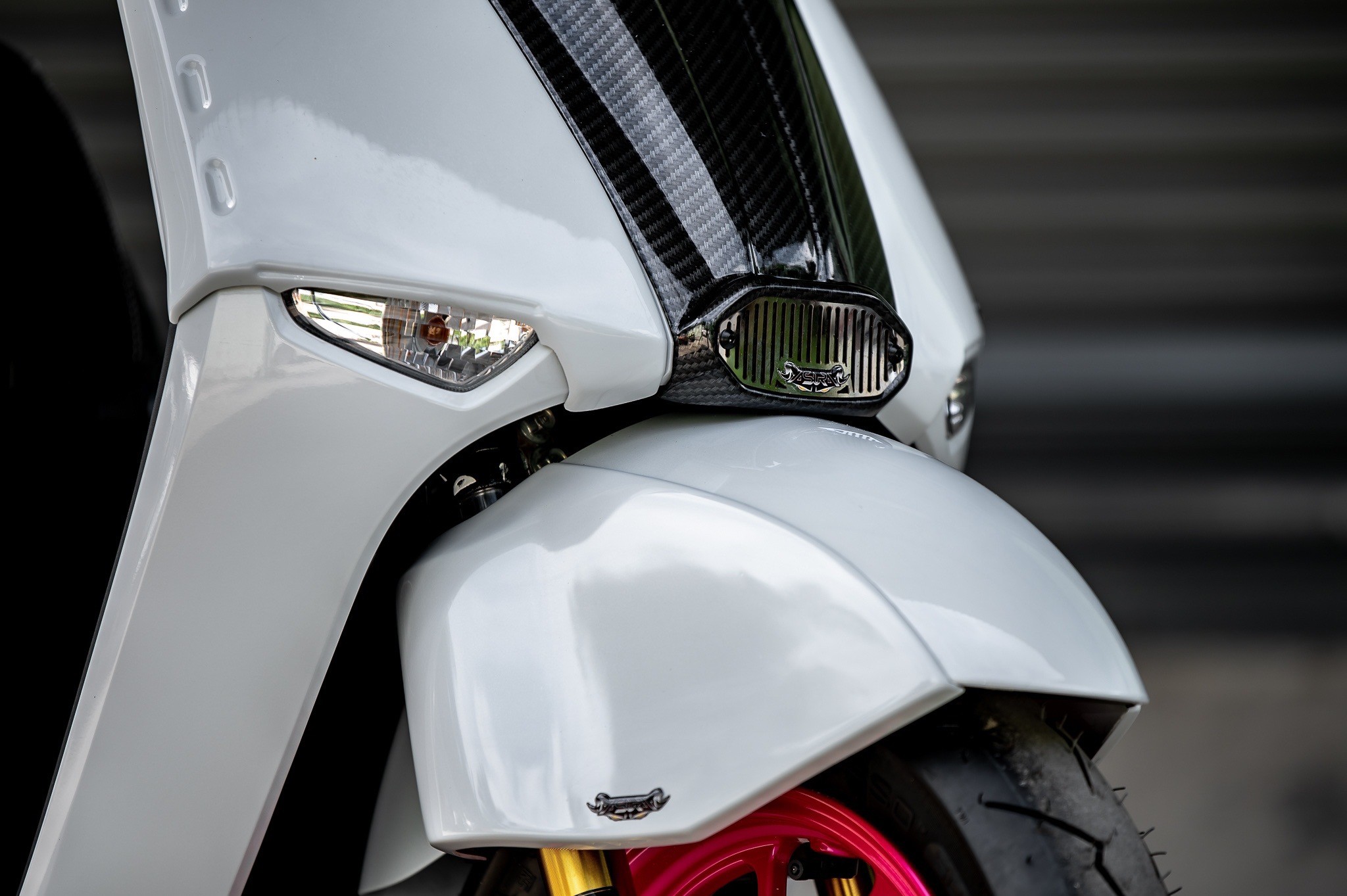 งาน แผ่นปิดข้างซ้าย-ขวา บังโคลนหน้าSide front fender cover 1700฿ ( งานสี ) 1950฿ ( ลายเคฟล่า )