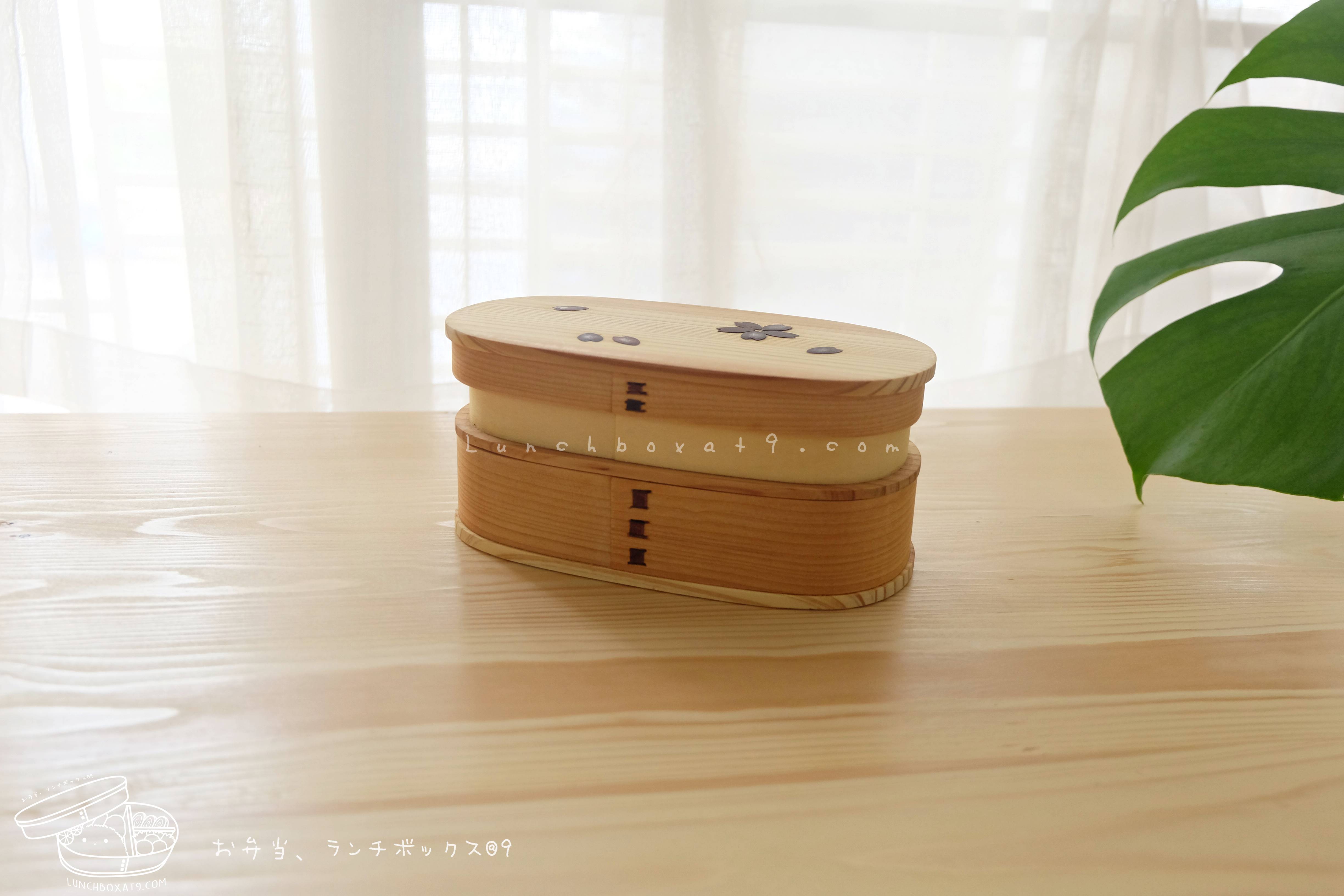 Oval 2 stages Shiraki Bending magewappa Cherry Blossom Pattern bento box กล่องข้าวญี่ปุ่นทรงรี สีไม้ 2 ชั้น ลายดอกซากุระ