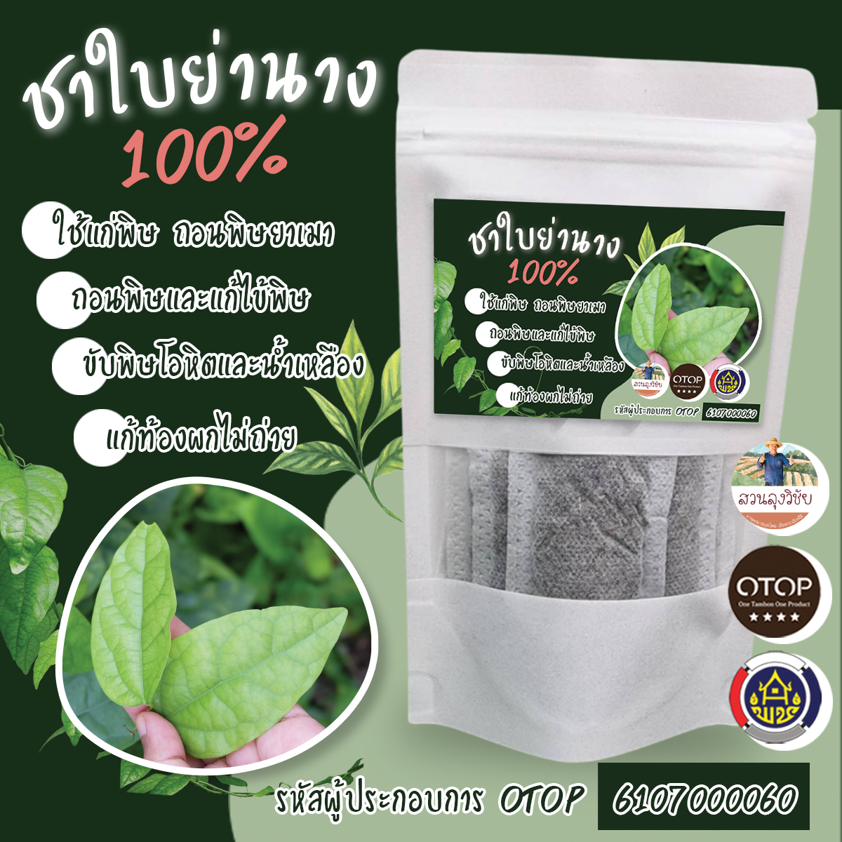 ชาใบย่านาง จากใบย่านางอินทรีย์อบแห้ง 100% ขนาดบรรจุ 12 ซองชา ปลอดภัยจากเคมี อบด้วยพลังงานแสงอาทิย์