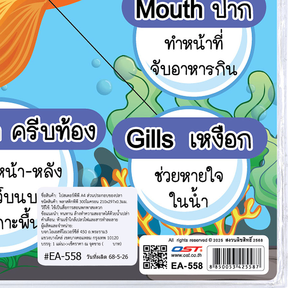 สคบ. โปสเตอร์ความรู้ ส่วนประกอบของสัตว์ ขนาด A4 EA-558 ปลา