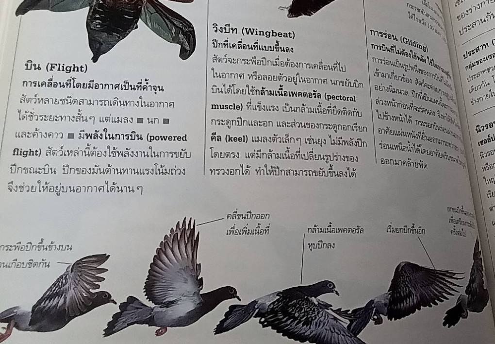 พจนานุกรมธรรมชาติวิทยา