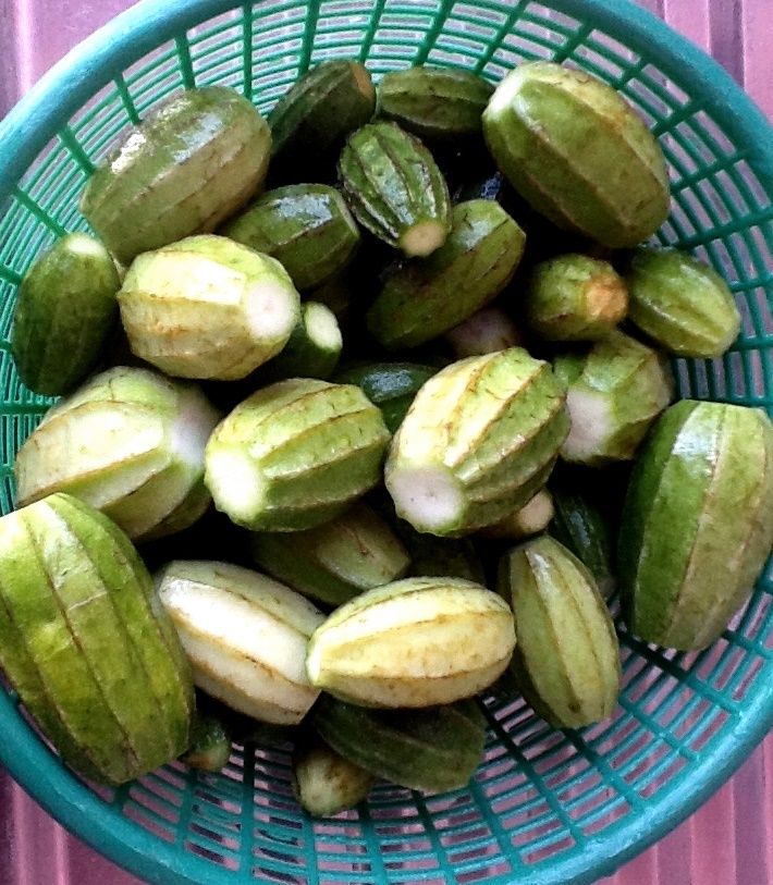 มะนอย(บวบลูกเล็ก)