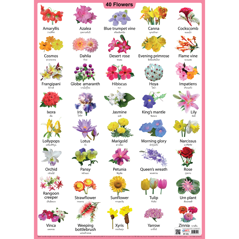Flowers in English Educational Posters No.591