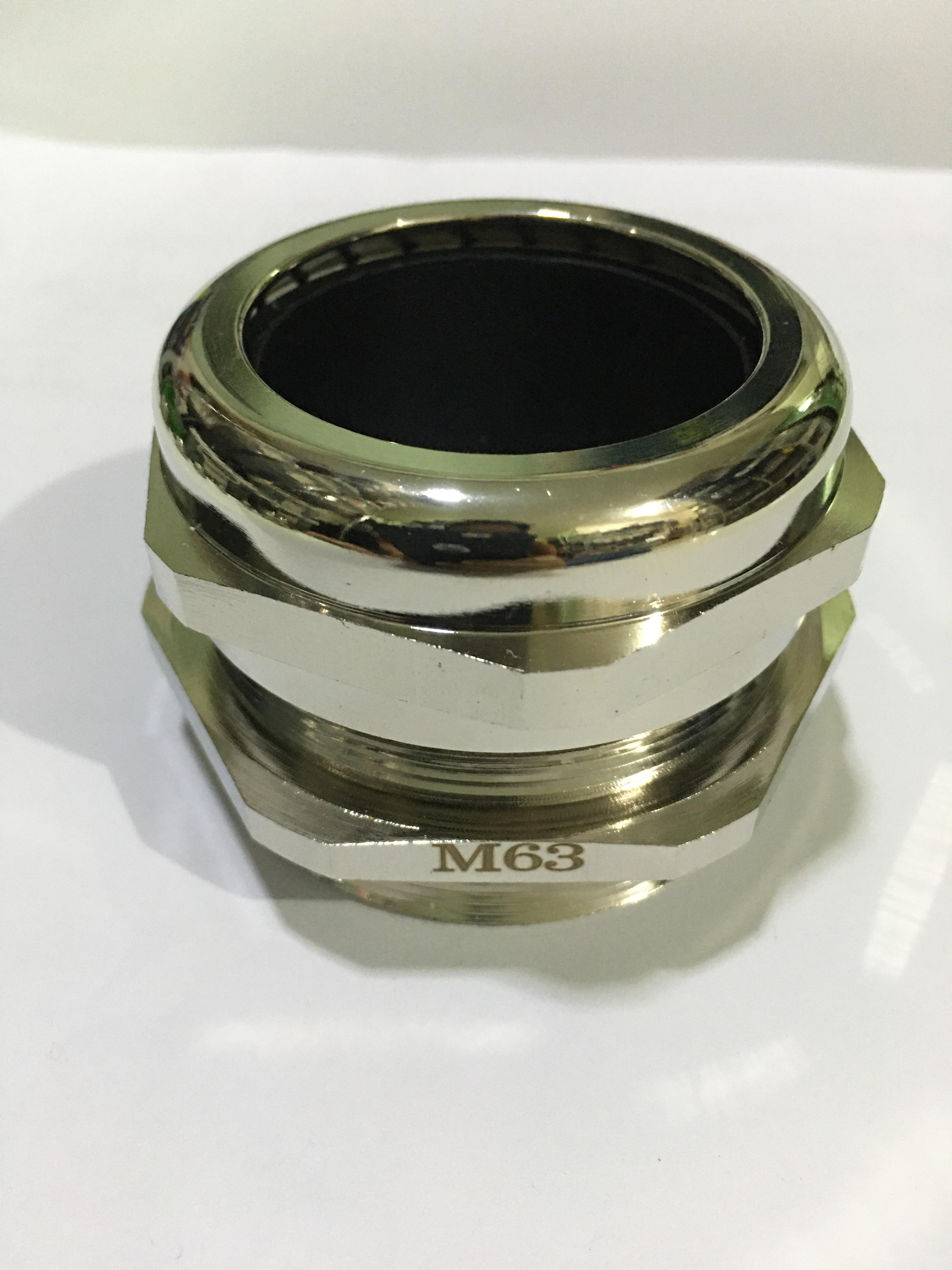 เคเบิ้ลแกลน ทองเหลืองชุบนิกเกิล CG-M63-N,OD37-44mm,IP68