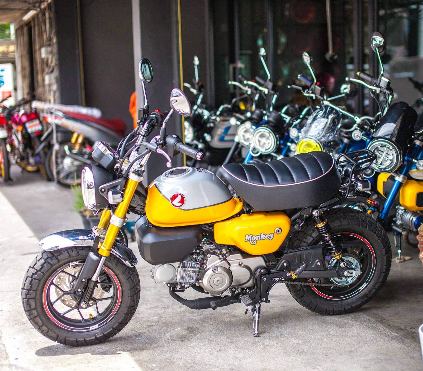 โช๊คหน้าแท้ พร้อมสปริงแบบโหลดหน้าเตี้ย3นิ้ว Power Fender MONKEY 125 ชุดละ11500