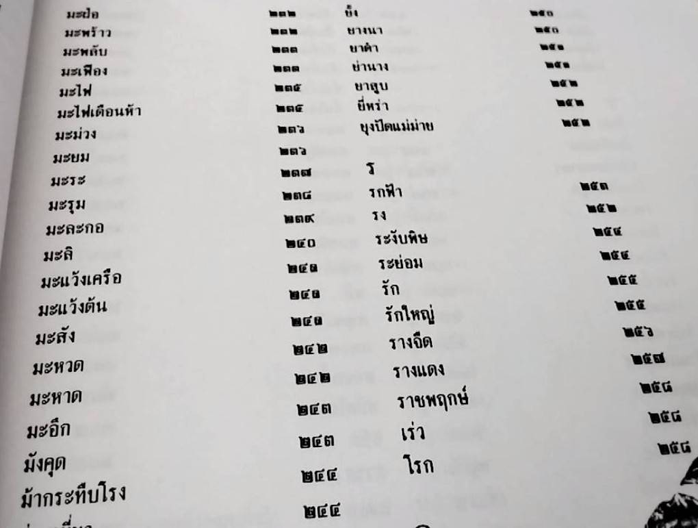 สมุนไพร ร้าน เจ้ากรมเป๋อ