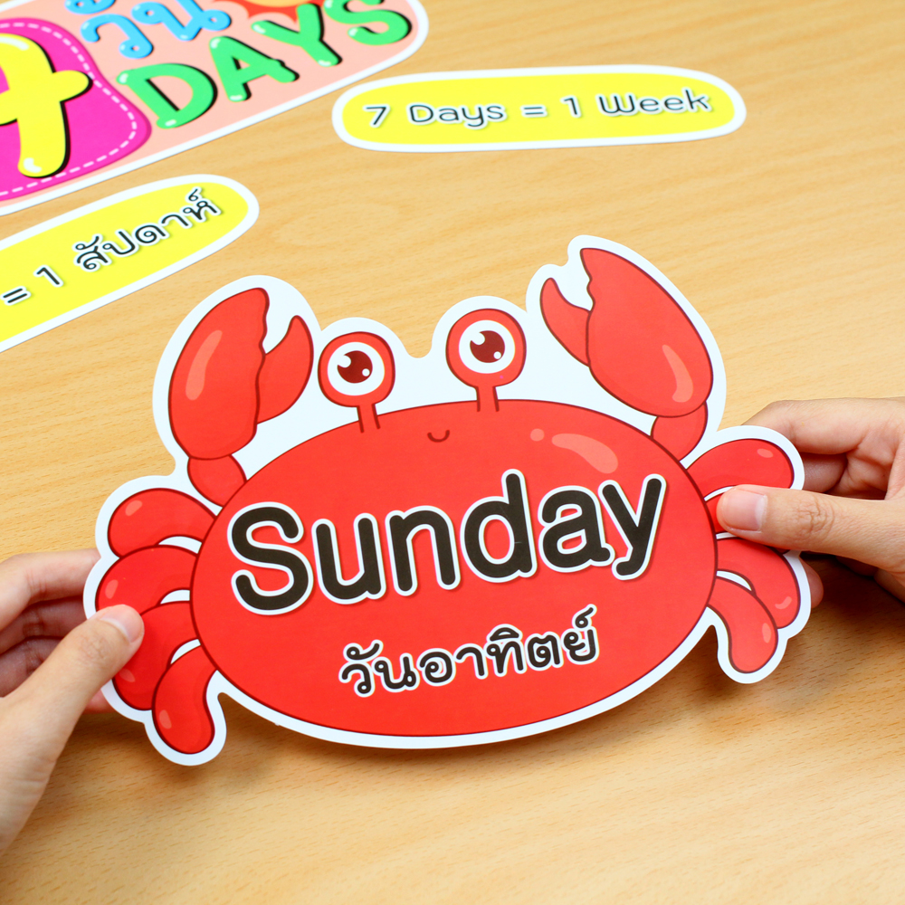 ขนาดบัตรคำ ชุดจัดบอร์ด 7วัน Days ลายสัตว์ทะเล ET-741
