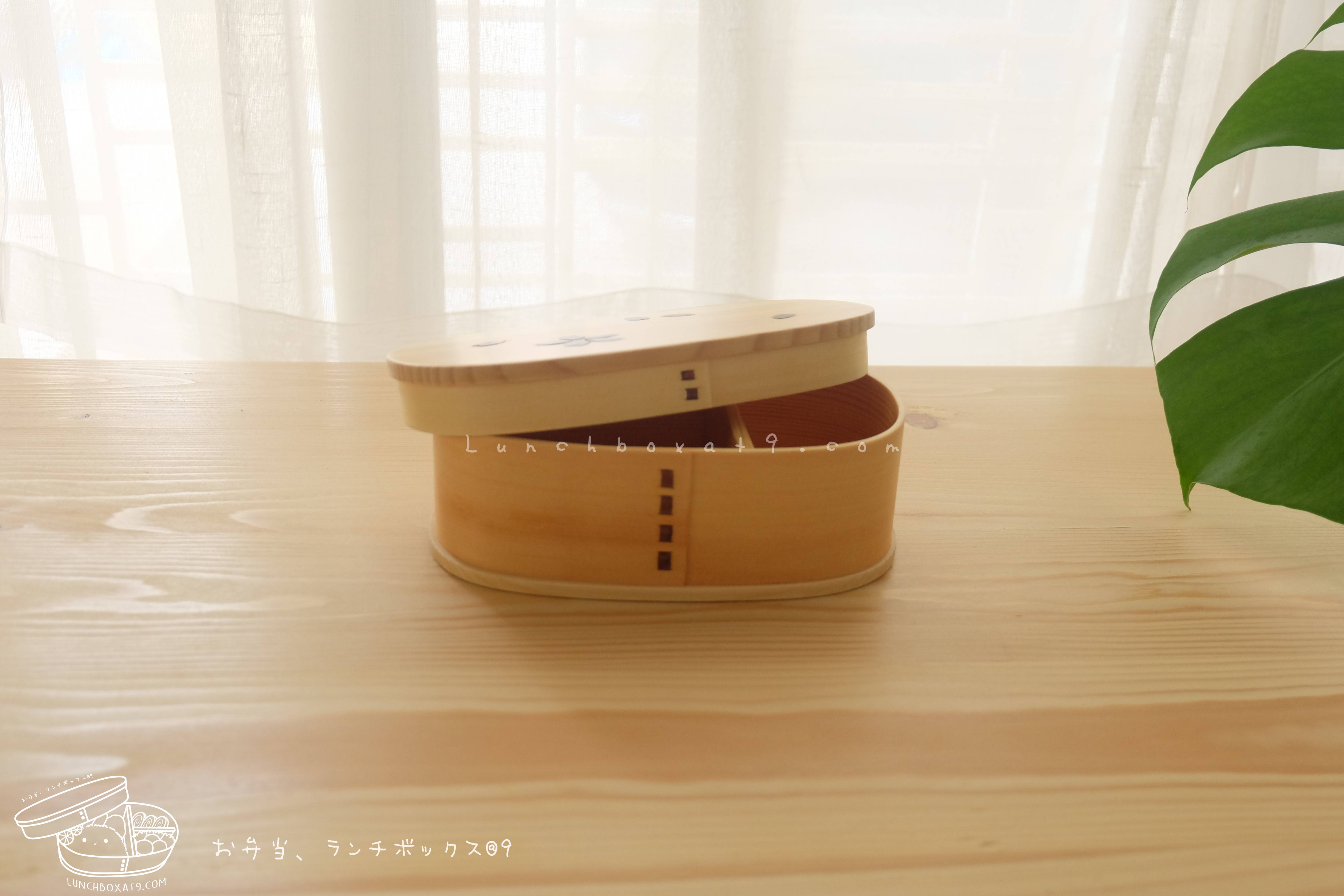 Oval Shiraki Bending magewappa Cherry Blossom Pattern bento box กล่องข้าวญี่ปุ่นทรงรี สีไม้ 1 ชั้น ลายดอกซากุระ