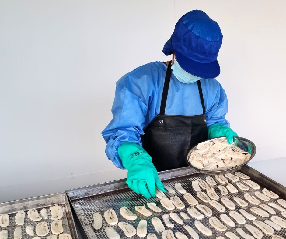 ผงกล้วยดิบ 100% ผงกล้วยน้ำว้าดิบ สดใหม่ ไม่ใส่เปลือก ไม่ผสมแป้งและน้ำตาล ขนาด 1 กิโลกรัม