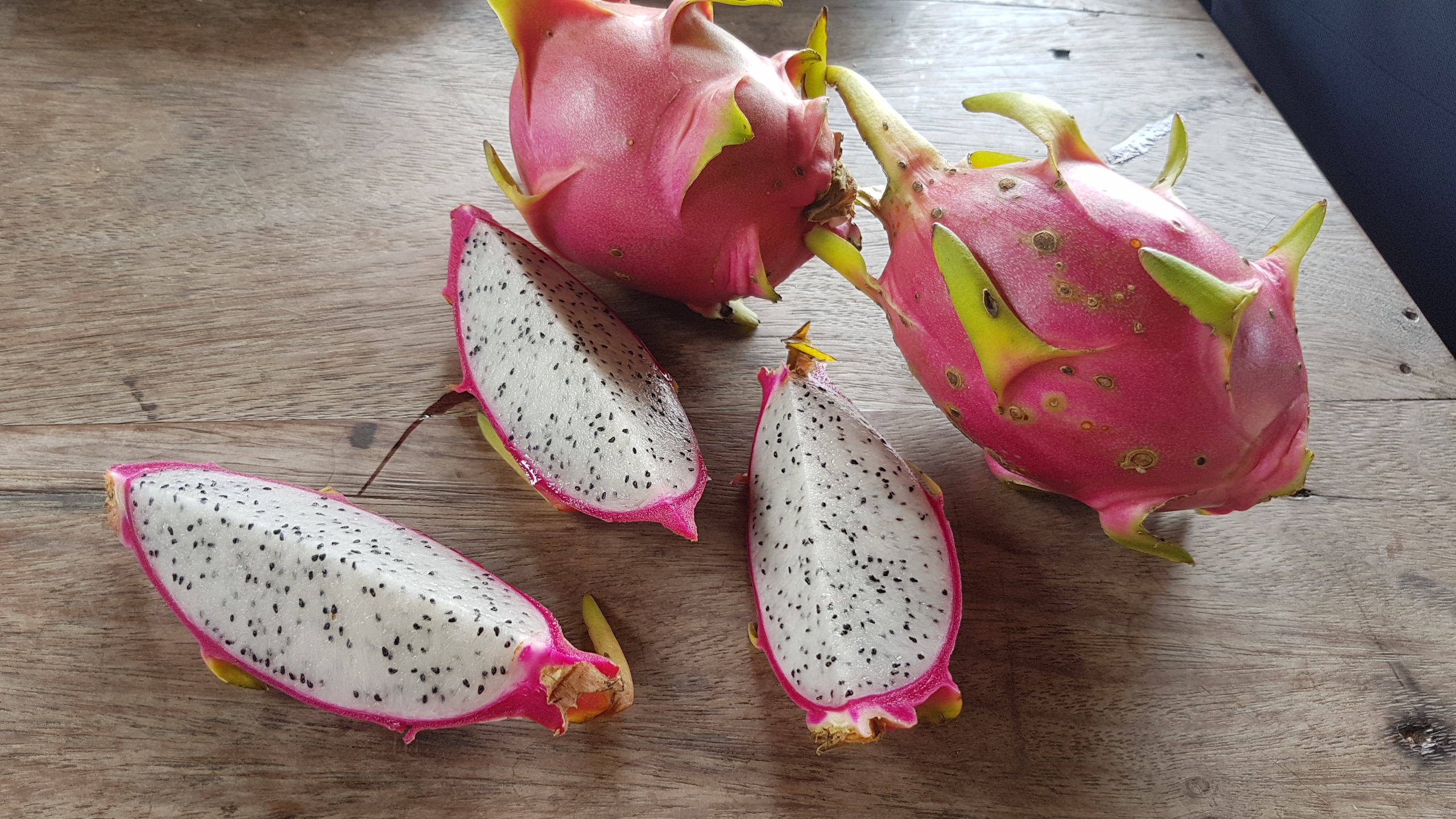 กิ่งพันธุ์แก้วมังกรเวียดนาม ( ชุด10 กิ่ง )