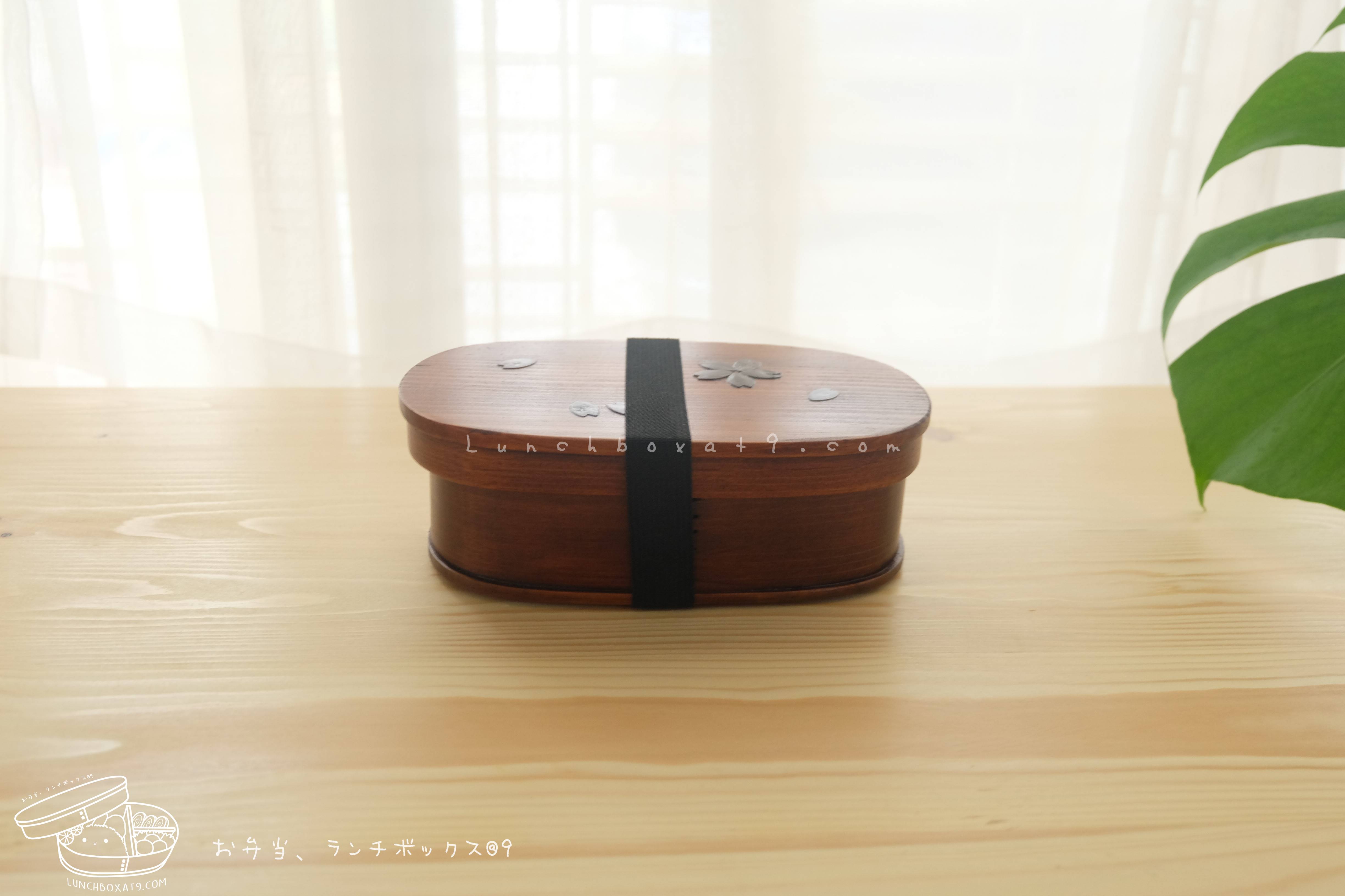 Oval Lacquered Bending magewappa Cherry Blossom Pattern bento box กล่องข้าวญี่ปุ่นทรงรี สีไม้คลาสสิค 1 ชั้น ลายดอกซากุระ