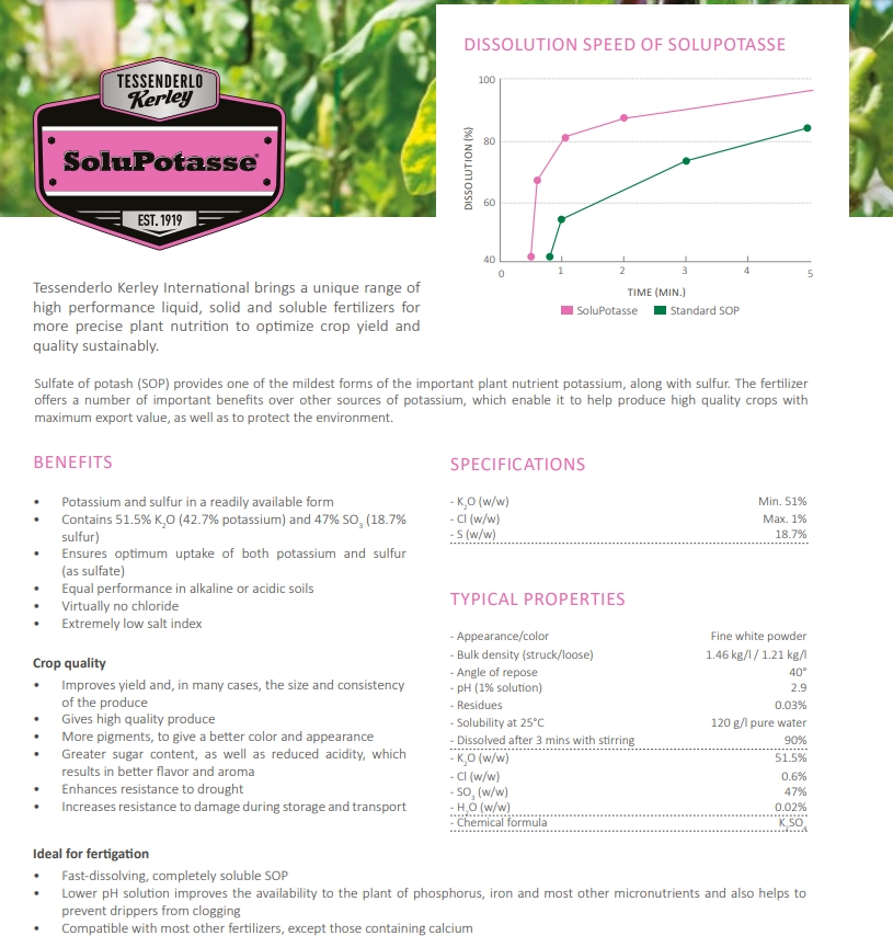 K2SO4 Potassium Sulphate SOP ปุ๋ยเกล็ด Solupotaase (0-0-50+18S) บรรจุ 25 กิโลกรัม