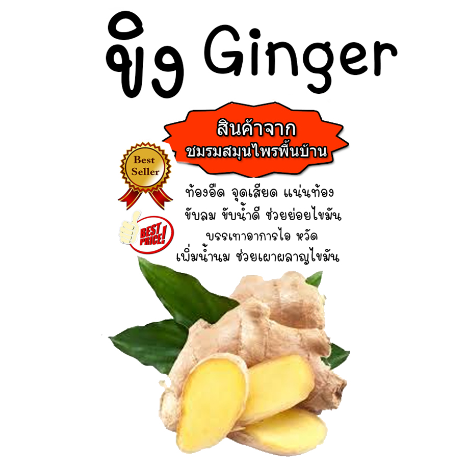 ขิงแคปซูล บรรจุ 100 เม็ด บด100% แคปซูลขิง