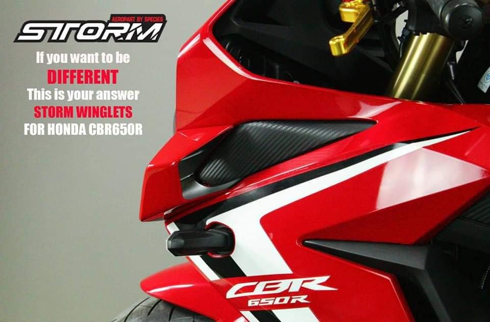 STORM Winglets วิงเล็ต ปีกใต้ไฟหน้าแต่ง HONDA CBR650R วัสดุทำจากคาบอน Carbon Edition รูปแบบ MotoGP ปีกแต่งไฟหน้า