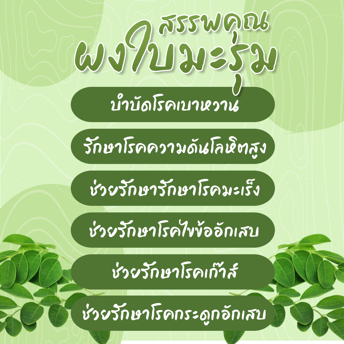 Organic Moringa Leave Powder มะรุมผงออร์แกนิค ผงใบมะรุม 75 กรัม