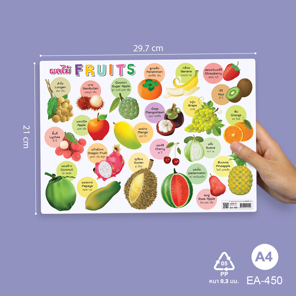 โปสเตอร์ความรู้ คำศัพท์ ไทย-อังกฤษ ชุุดพืช ขนาดA4 EA-450 ผลไม้ Fruits