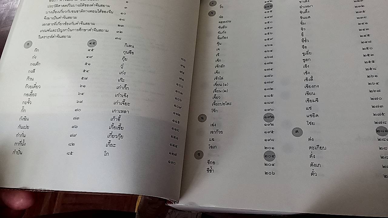 คำจีนสยาม ภาพสะท้อนปฏิสัมพันธ์ไทย-จีน