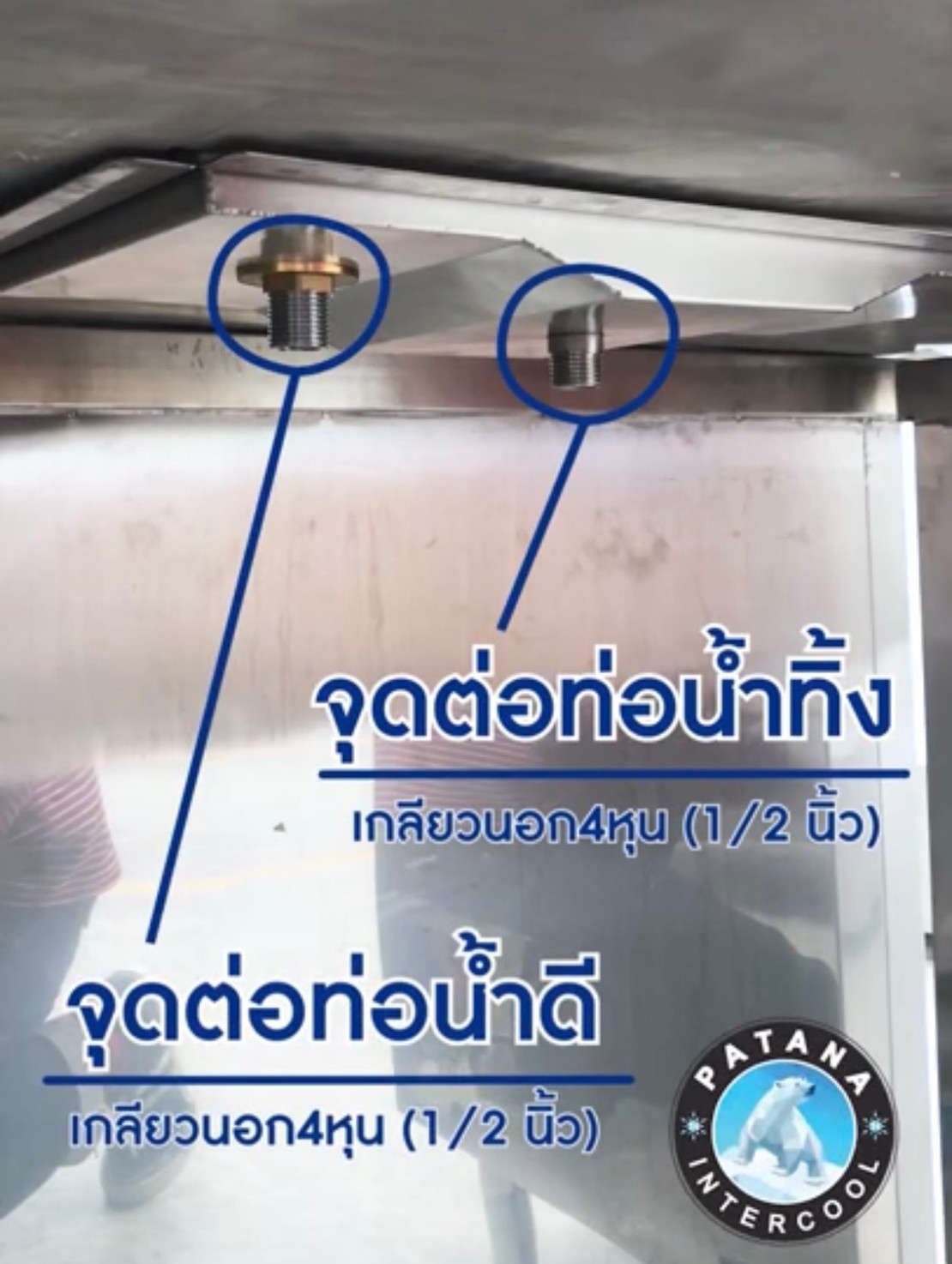 Rinser ที่ฉีดล้างแก้ว 1 หัวฉีดหัวหมี ลายรังผึ้ง สีดำ