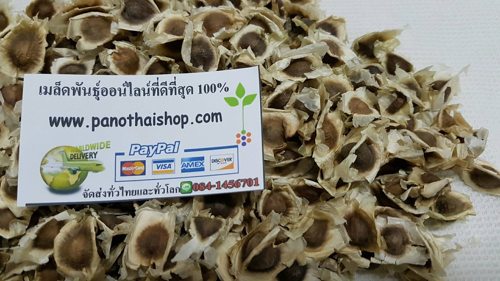 เมล็ดมะรุมแห้งคัดเกรด 1 กิโลกรัม.