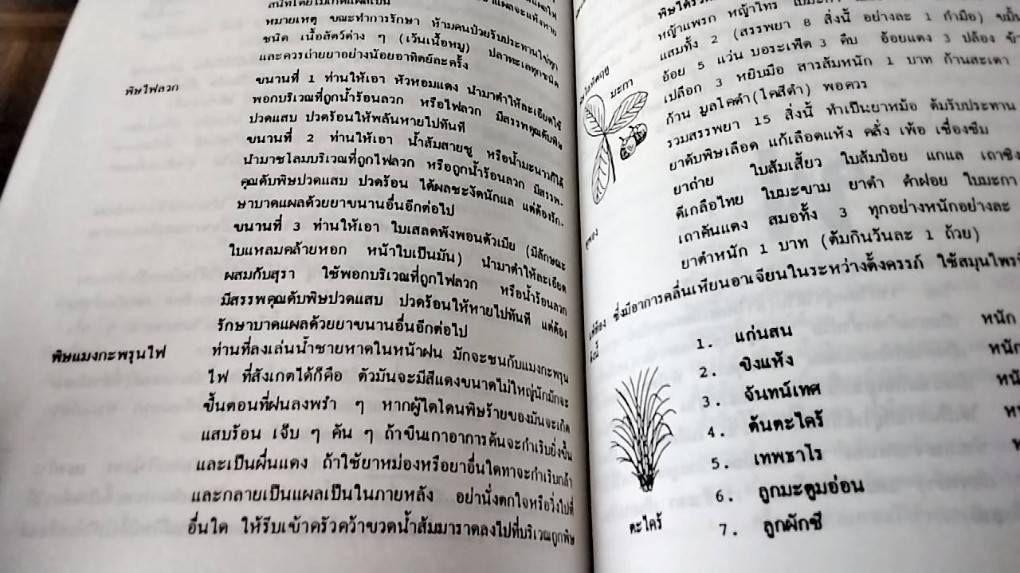 พจนานุกรมโรคและสมุนไพรไทย