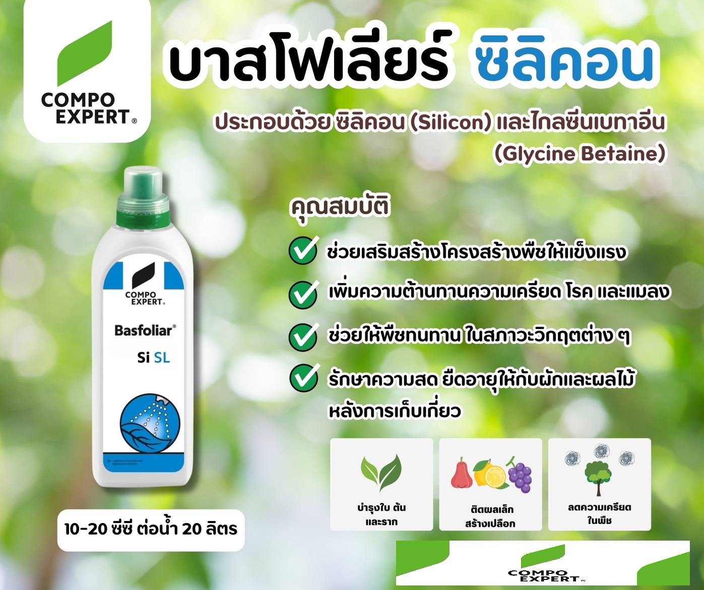 Basfoliar Si SL บาสโฟเลียร์ ซิลิกอน (Compo Expert เยอรมัน) Silicon + Glycine betaine ช่วยสร้างความแข็งแรงให้พืช ทนโรค ทนแมลง ทนแล้ง บรรจุ 1000 mlx12 ขวด