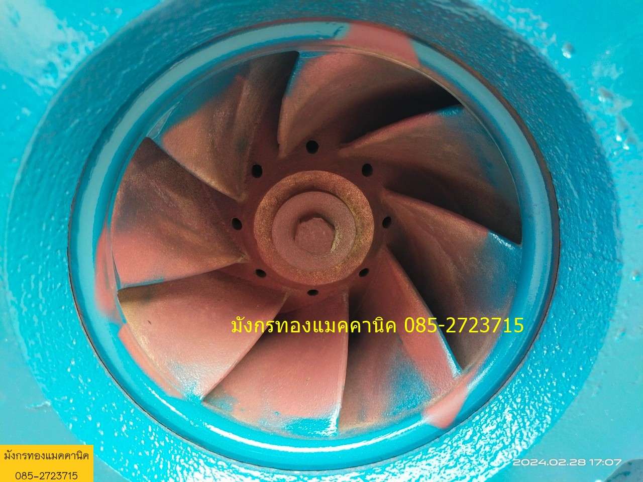 ปั๊มน้ำ ARMSTRONG made in Canada ขนาด 8x6 นิ้ว เพลา 28 มม. ส่งสูง 15 เมตร ได้ปริมาณน้ำสูงสุด 5670 ลิตรต่อนาที ใช้กับมอเตอร์ได้ 40 แรง หรือเครื่องยนต์ 120 แรง ใบพัดทองเหลือง แมคคานิคอลซีล