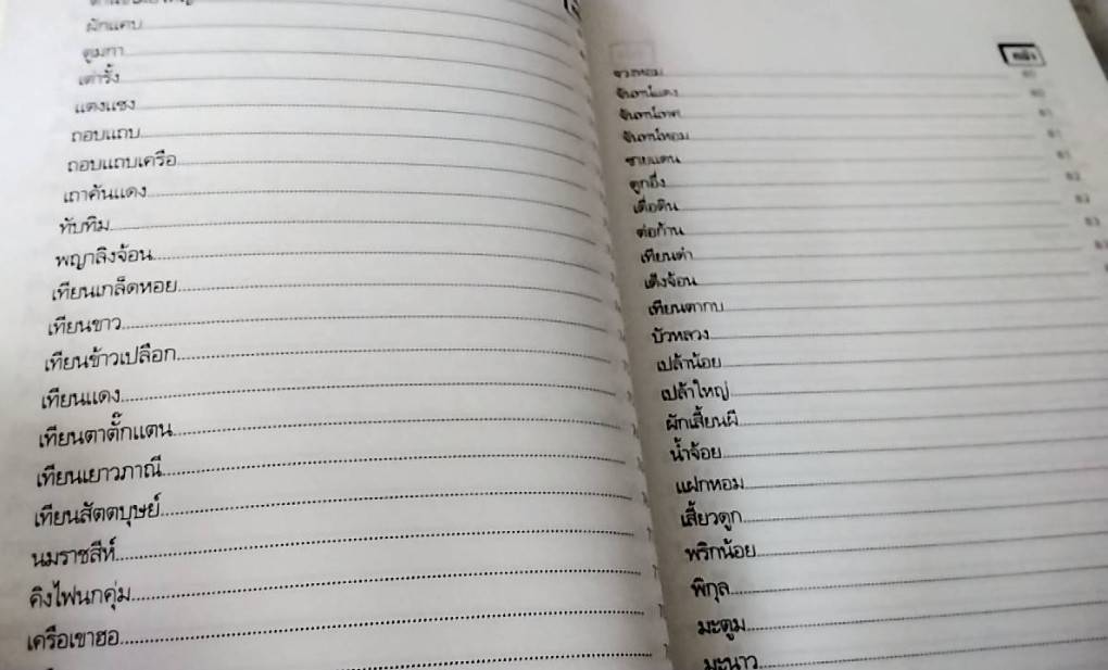 หมอดีอีสาน กับสมุนไพรพื้นบ้านรักษาโรคนานาชนิด