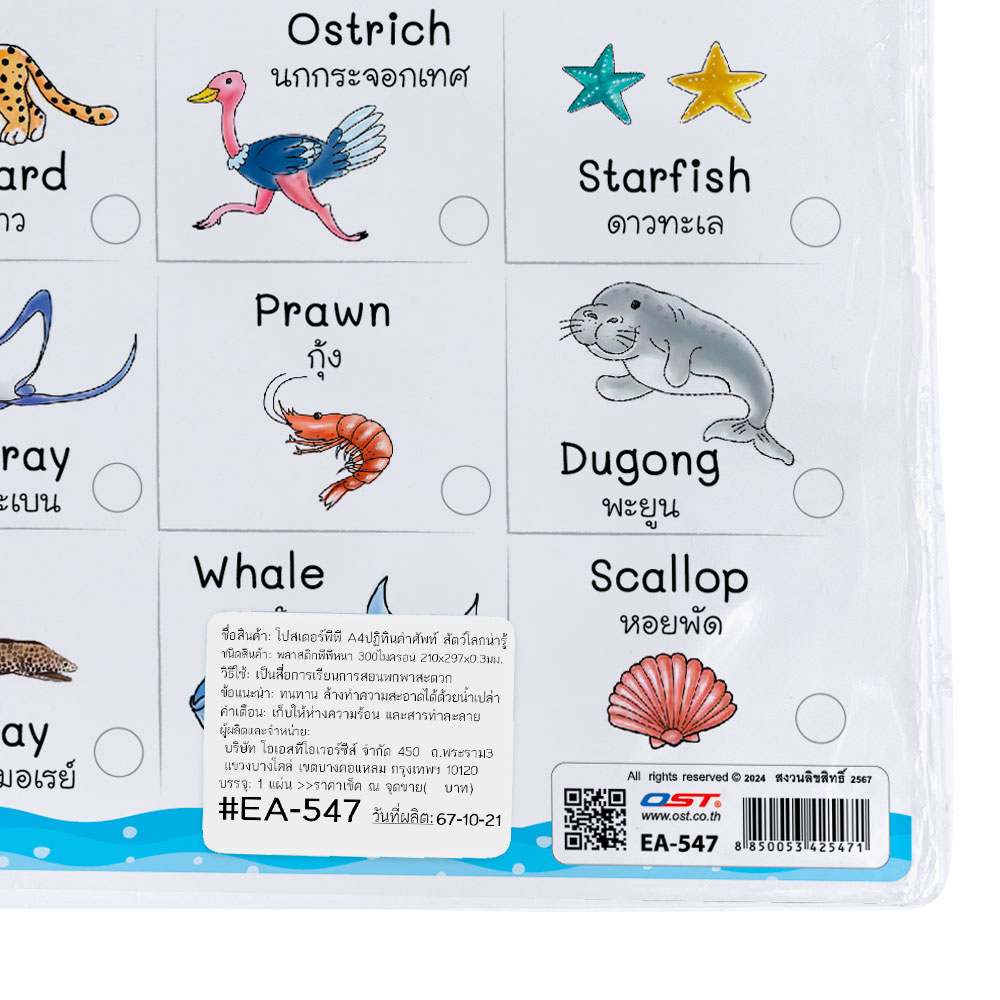 สคบ.โปสเตอร์ความรู้ ชุดปฏิทินคำศัพท์น่ารู้ ขนาดA4 EA-547 Animals World